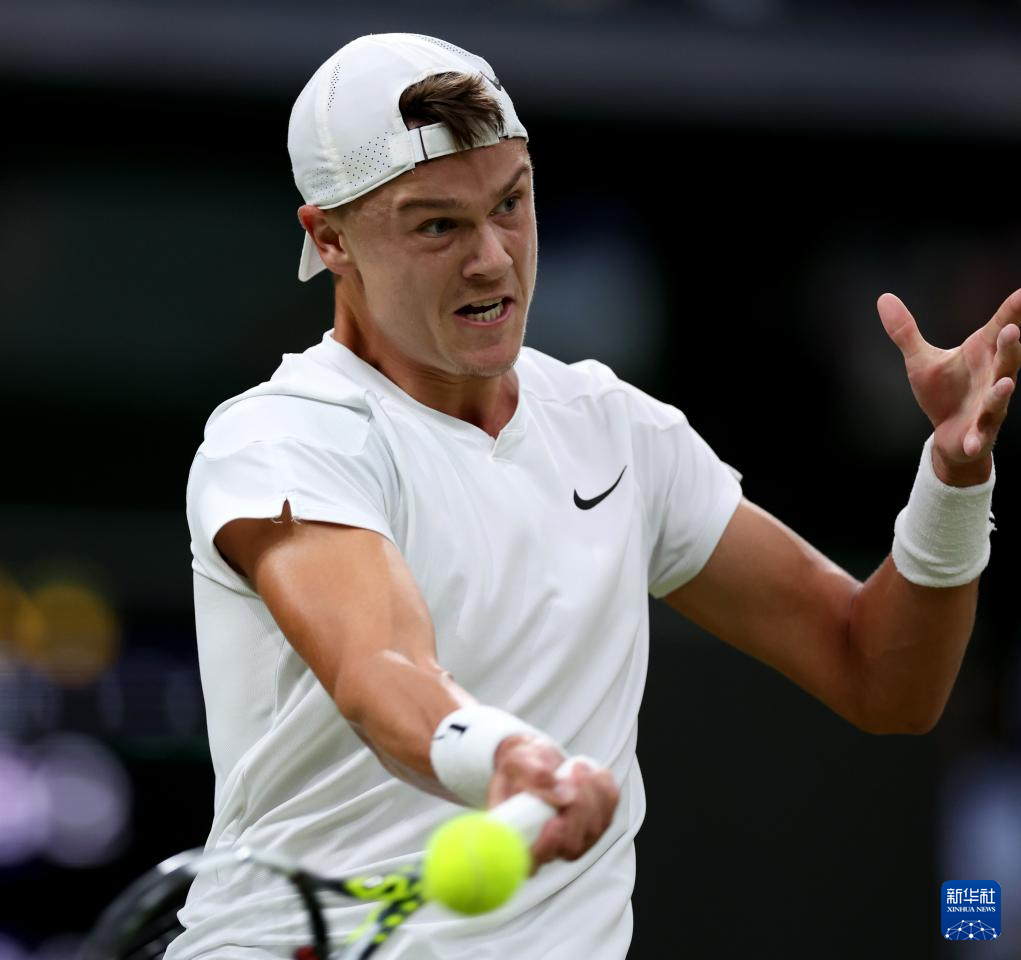 提供了丰富 提供了丰富